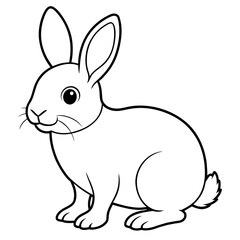 white rabbit isolated on white