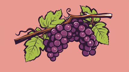Grapes fruit label vintage style 2d flat cartoon va