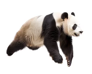 Foto op Canvas Lively giant panda in mid-stride on white © gearstd