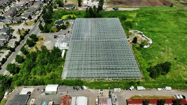 Aerial View Of Greenhouse Along The Neighborhood Of East Newton South In Surrey, British Columbia, Canada.