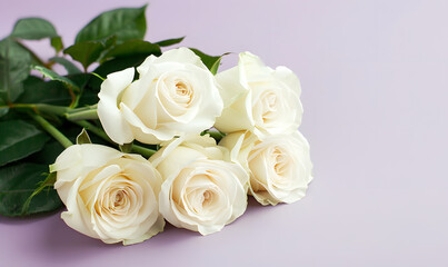 Obraz premium white roses with empty space for text lavender background, Generative AI