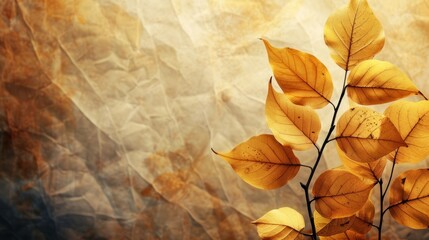 Autumn leaves on grunge background. Fall season concept with copy space for text