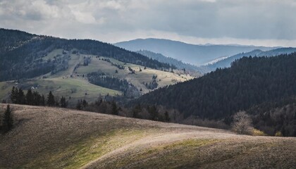 panoramic view of carpathian countryside in spring mountainous rural landscape of ukraine with forested rolling hills and grassy meadows on a sunny day