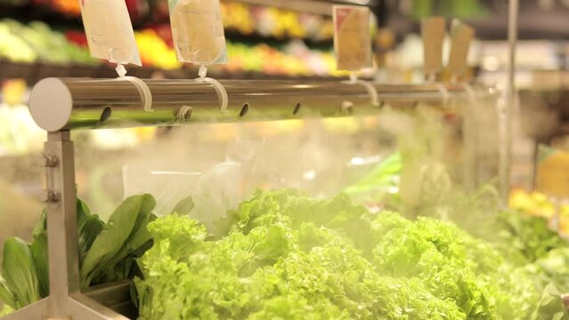 Fresh vegetables at grocery store under cooling water steam. Vegetables sprayed with mist water from nozzles
