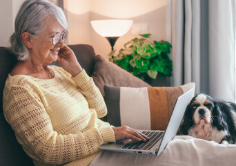 Smiling senior woman using laptop sitting on sofa near her almost asleep cavalier king charles dog....