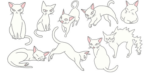 Fototapeta na wymiar Lots of cute and colorful cat illustrations.