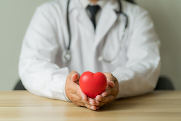 Asian male doctor's hand holding a red heart Show signs of love