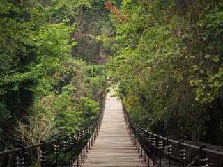 A wooden suspension bridge for crossing a stream in the forest.