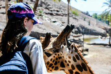 Beautiful young girl feeding a giraffe in a zoo