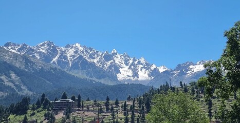 Snow on the Mountain with beautiful trees and Medouse 