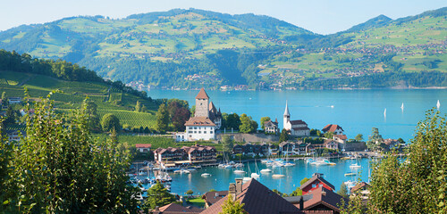 view to the castle and vineyard Spiez, tourist resort lake Thunersee