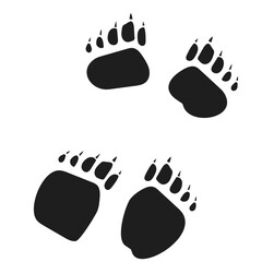 Bear foot prints