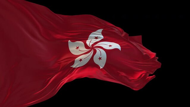 3d animation of the national flag of Hong Kong waving in the wind.