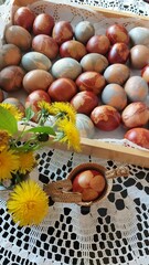 Colorful Easter eggs on a table decorated with spring flowers and dandelion 