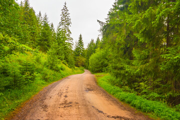 rural ground road through the green mountain valley
