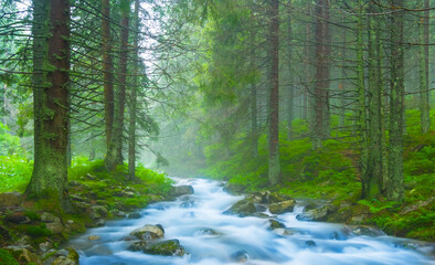 small blue river rushing through a misty fir forest
