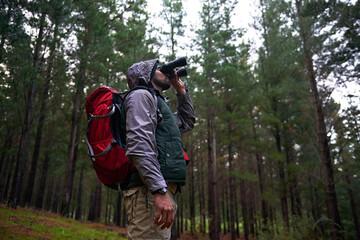 Naklejka premium Bird watching, woods and man with binocular, travel and hiking with trees and adventure with hobby. Person, forest and guy with freedom or wellness with hiker and explore nature with journey or peace