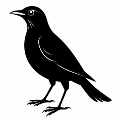 crow on a branch