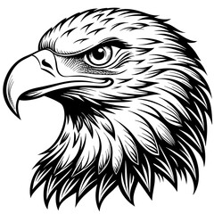 head of eagle