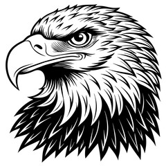 bald eagle head