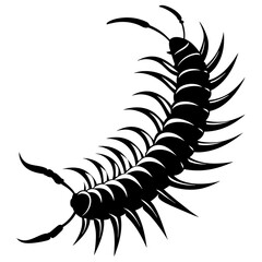 silhouette of a scorpion