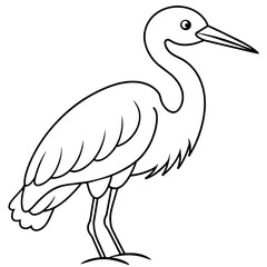 Naklejka premium black crowned crane