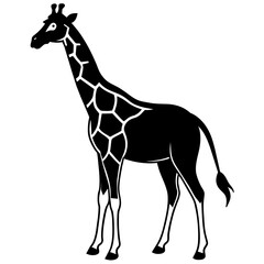 giraffe vector illustration