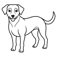 Fototapeta premium dog