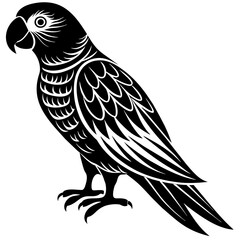 black and yellow macaw