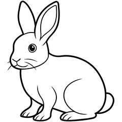 illustration of a bunny