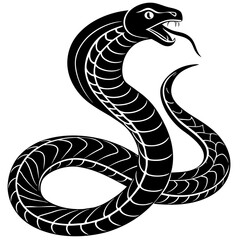black and white snake