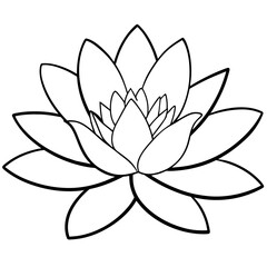 lotus flower illustration