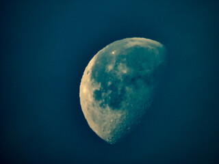 Dettagli naturali - Liguria