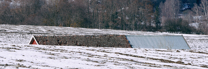 Fototapeta premium Images from a walk in the cultural landscape between Skreia and Lake Mjosa, Toten, Norway, a day in spring of April 2024.
