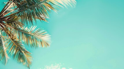 Fototapeta na wymiar Palm leaves pastel minimalism. Generative AI