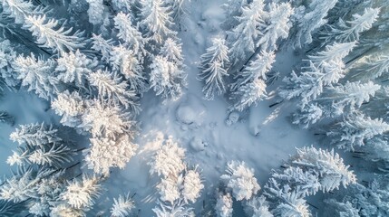 Snow-covered trees. Generative AI