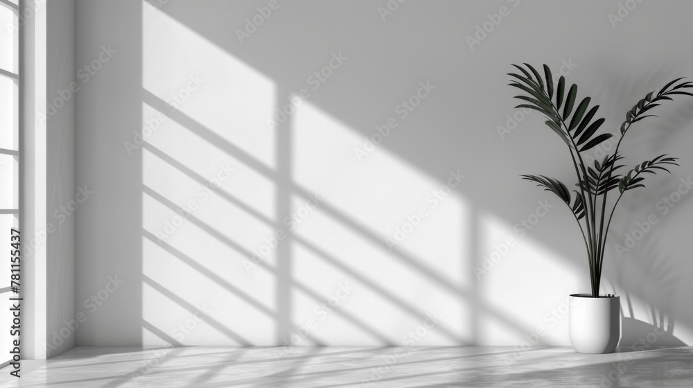 Aufkleber an overlay effect background with shadows on white wall and floor with sunlight from window.