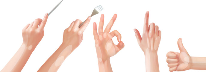 hands isolated on white