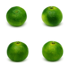 シークヮーサーのイラスト リアル 