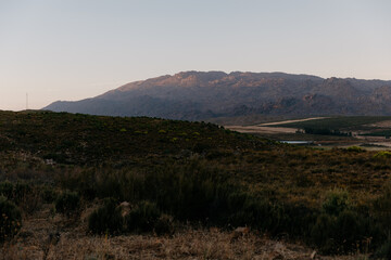 Obraz premium Scenic, moody landscape of a red wine grape vineyard at sunrise, background