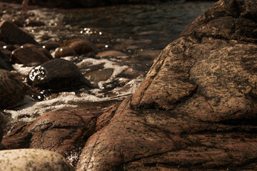 sea ​​foam, on the seashore and warm sunlight