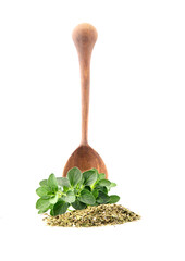 Oregano or marjoram leaves isolated on white background. Spice in woodem spoon.