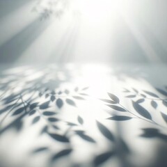 Minimalist background of blurred foliage shadows softly gracing a white wall.