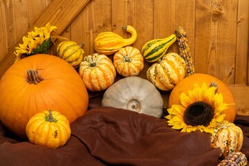Top view of pumpkins and squash on a rustic table - Powered by Adobe