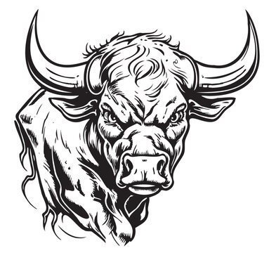 Angry bull logo sketch hand drawn Vector illustration