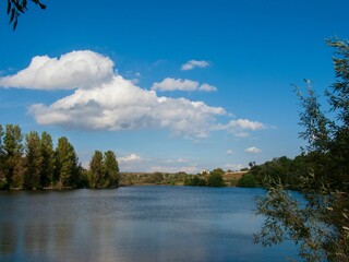 Beautiful shot of a lake surrounded by vegetation