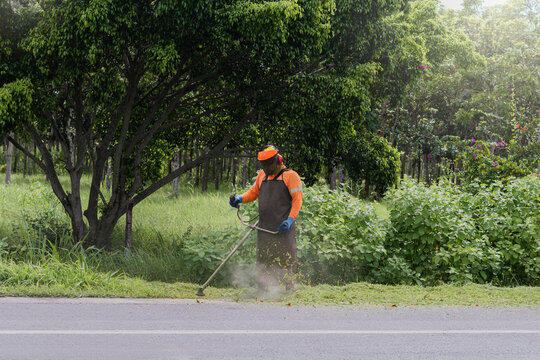 Groundskeeper Using a String Trimmer Beside a Road