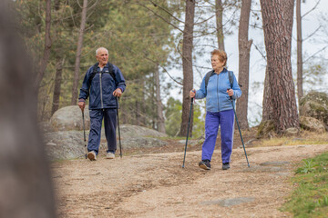 senior couple hiking outdoors in nature - 781171011