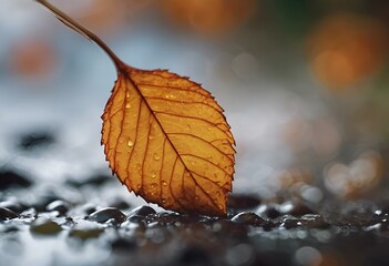 AI generated illustration of a single leaf floating on waterlogged ground