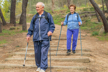 senior couple hiking outdoors in nature - 781171073
